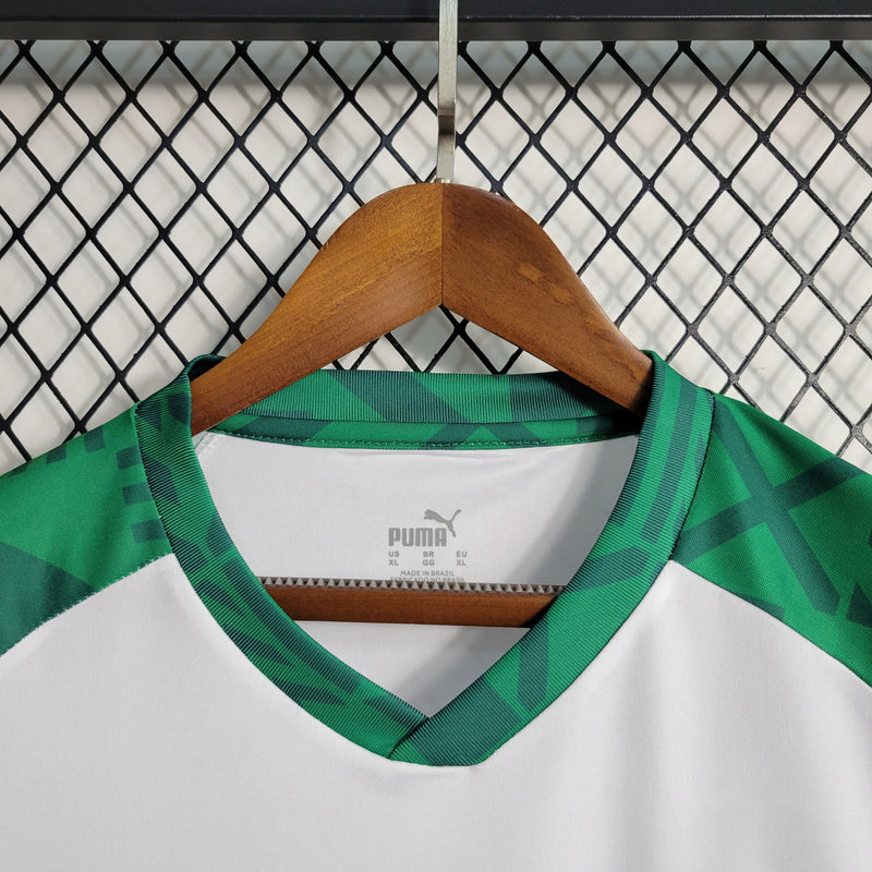 Camisa Palmeiras Treino II 23/24 - Puma Torcedor Masculina